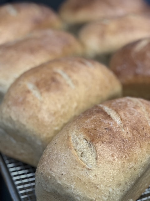 Multigrain Sourdough Sandwich Loaves